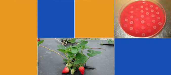 Groupe de recherche et d’enseignement en salubrité alimentaire 4