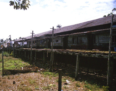 Long House