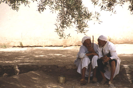 Deux vieux complices