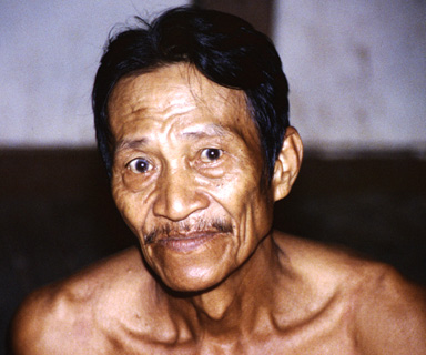 Le visage de la sagesse