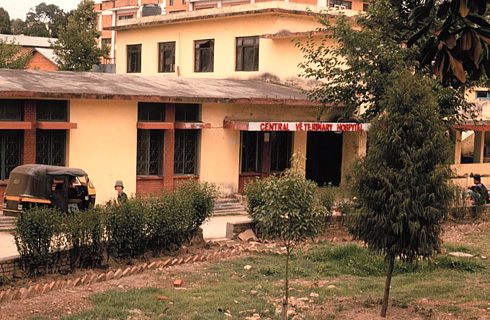 Central Veterinary Hospital