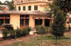 Central Veterinary Hospital