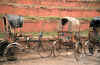 Le rickshaw, un incontournable