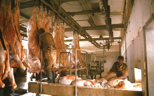 Abattoir au lever du soleil