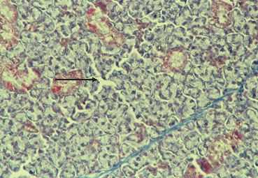 art2p.jpg (19271 octets)