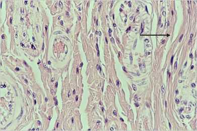 art3p.jpg (17762 octets)