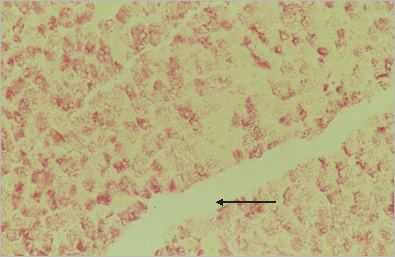 art4p.jpg (10222 octets)