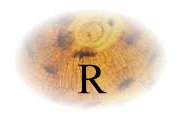 r.jpg (2545 octets)