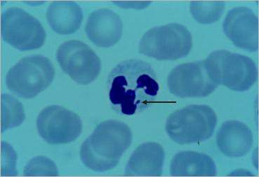 Struc9_p.jpg (8338 octets)